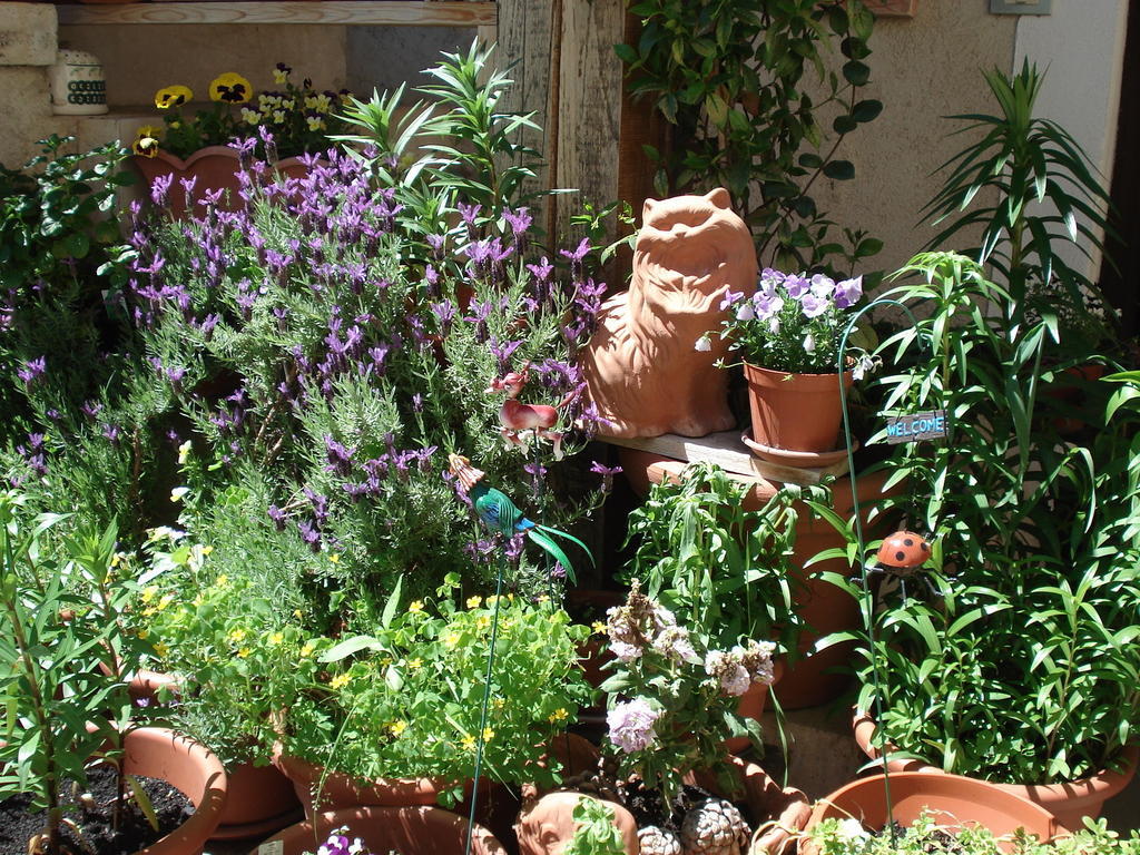 Bed and Breakfast Abruzzo Segreto Navelli Exteriér fotografie
